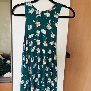 Fighting eel dress deja